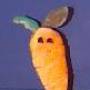 carrot.jpg