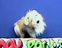 nom-icon.png